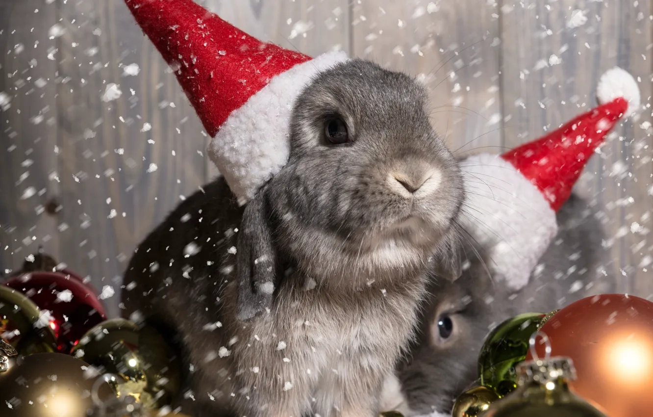 Фото обои шарики, украшения, праздник, Новый Год, Рождество, Christmas, New Year, bunny
