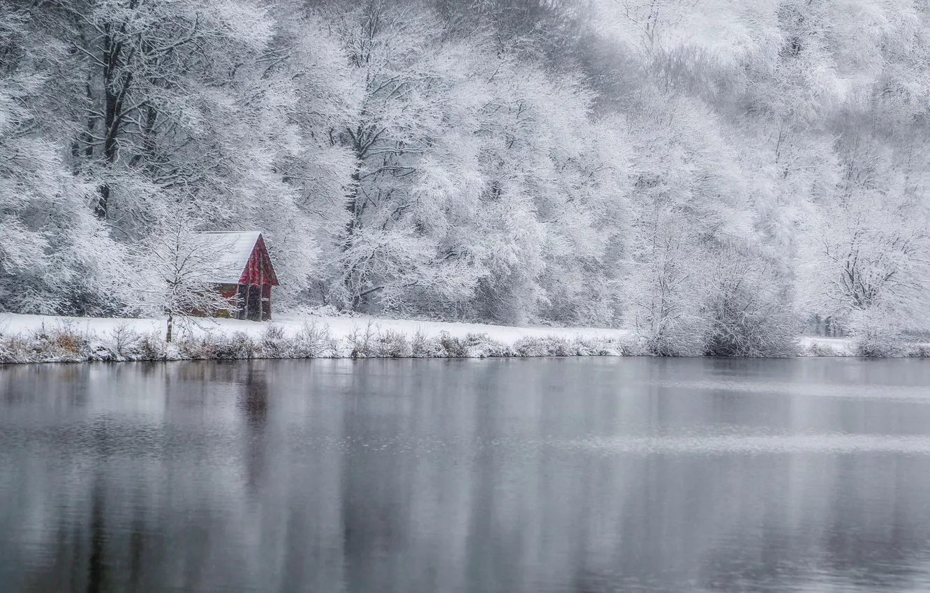 Фото обои зима, лес, озеро, дом