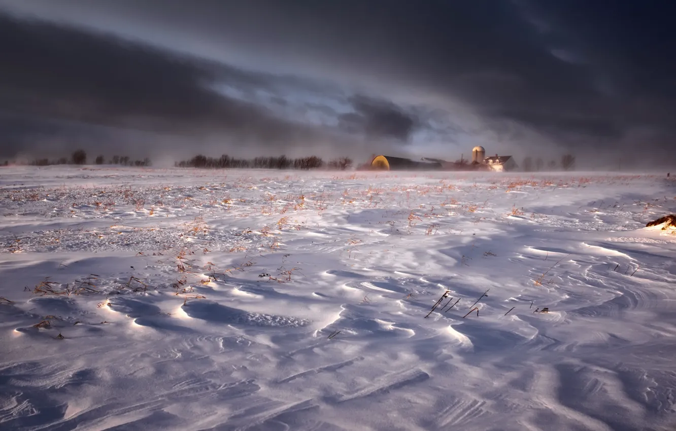 Фото обои зима, поле, снег, природа, туман