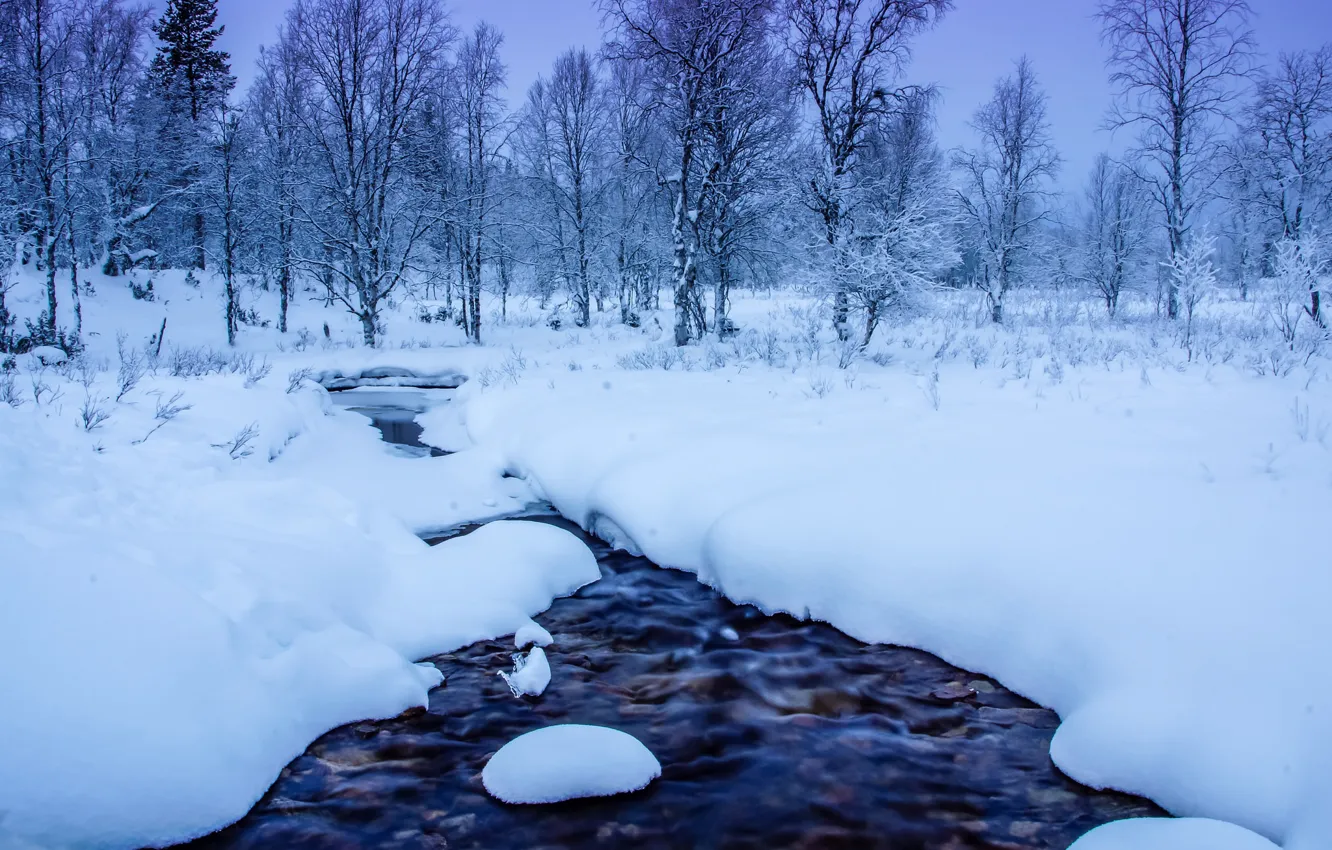 Фото обои зима, снег, деревья, сугробы, речка, Финляндия, Finland, Lapland