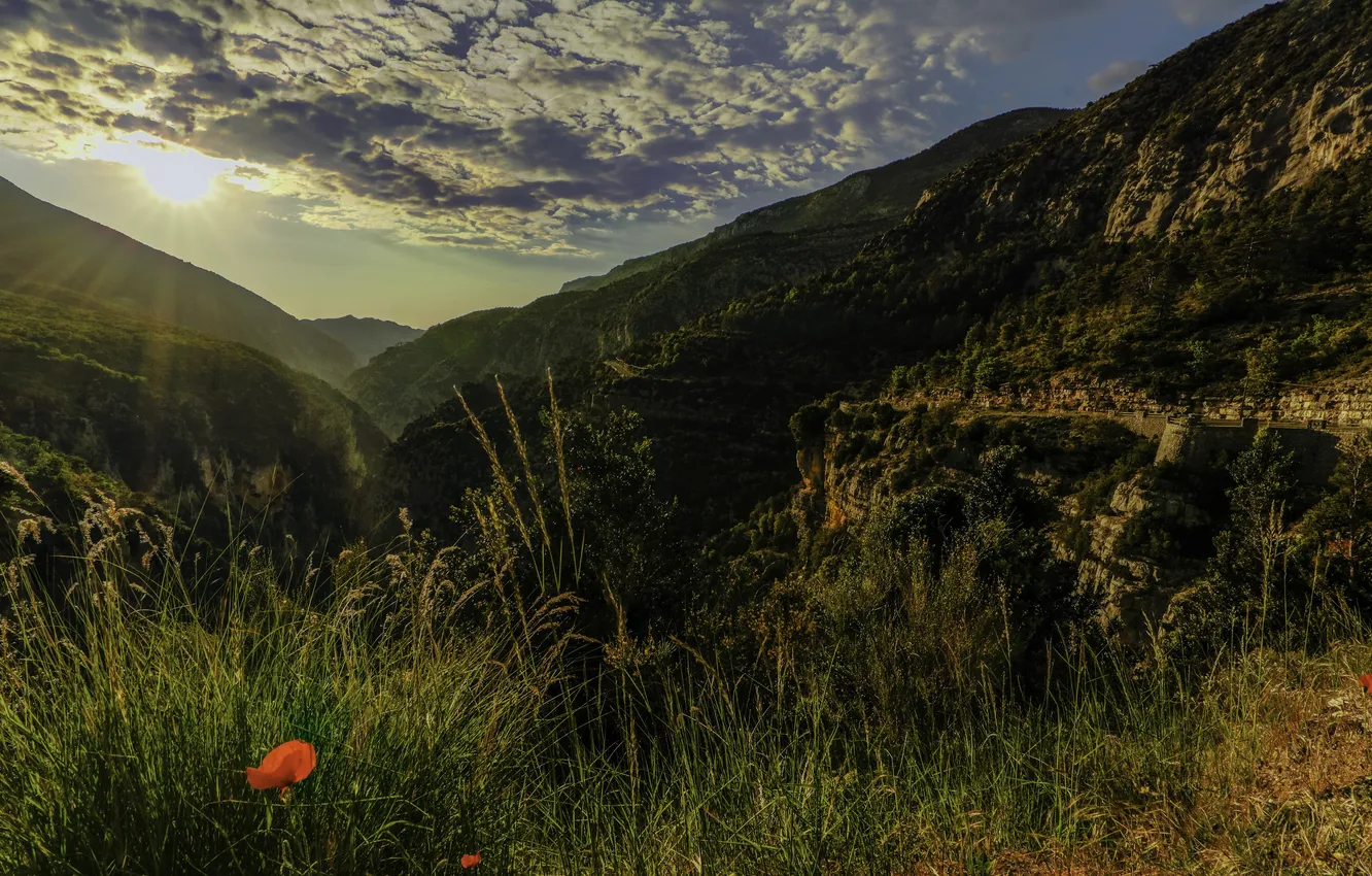 Фото обои трава, облака, горы, скалы, Франция, маки, Альпы, ущелье