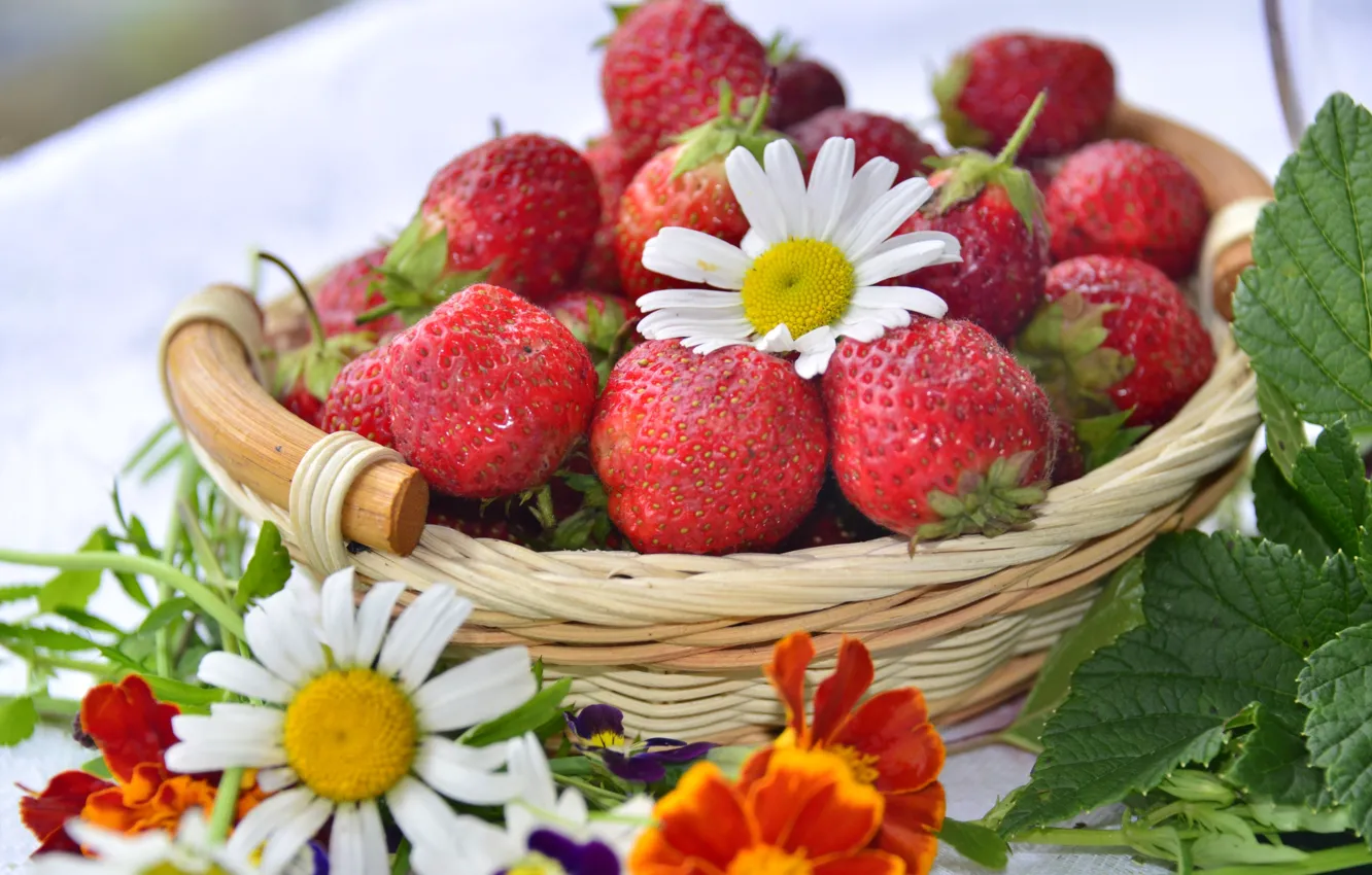 Фото обои ягоды, корзина, ромашка, клубника, бархатцы