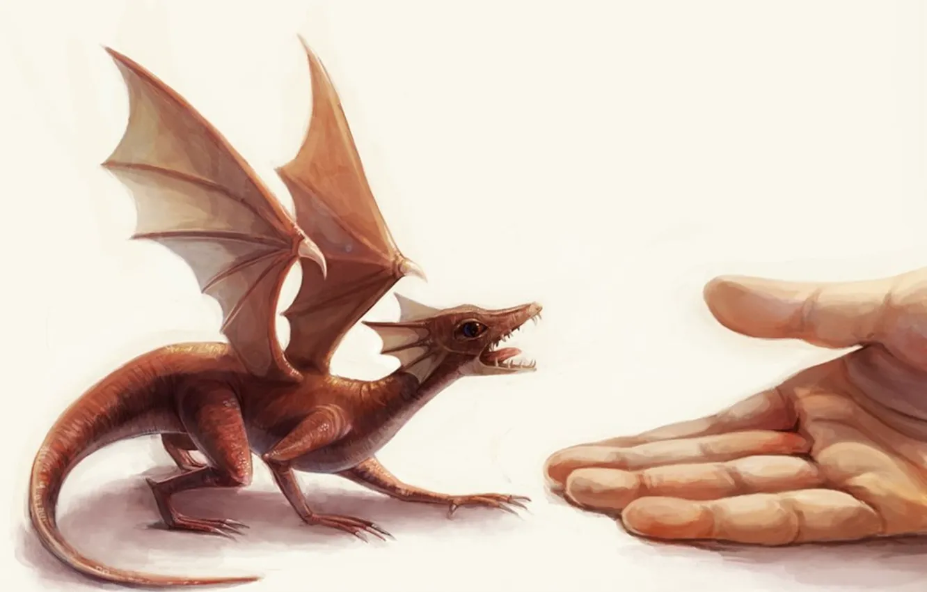 Фото обои дракон, рука, крылья, Маленький, ладонь