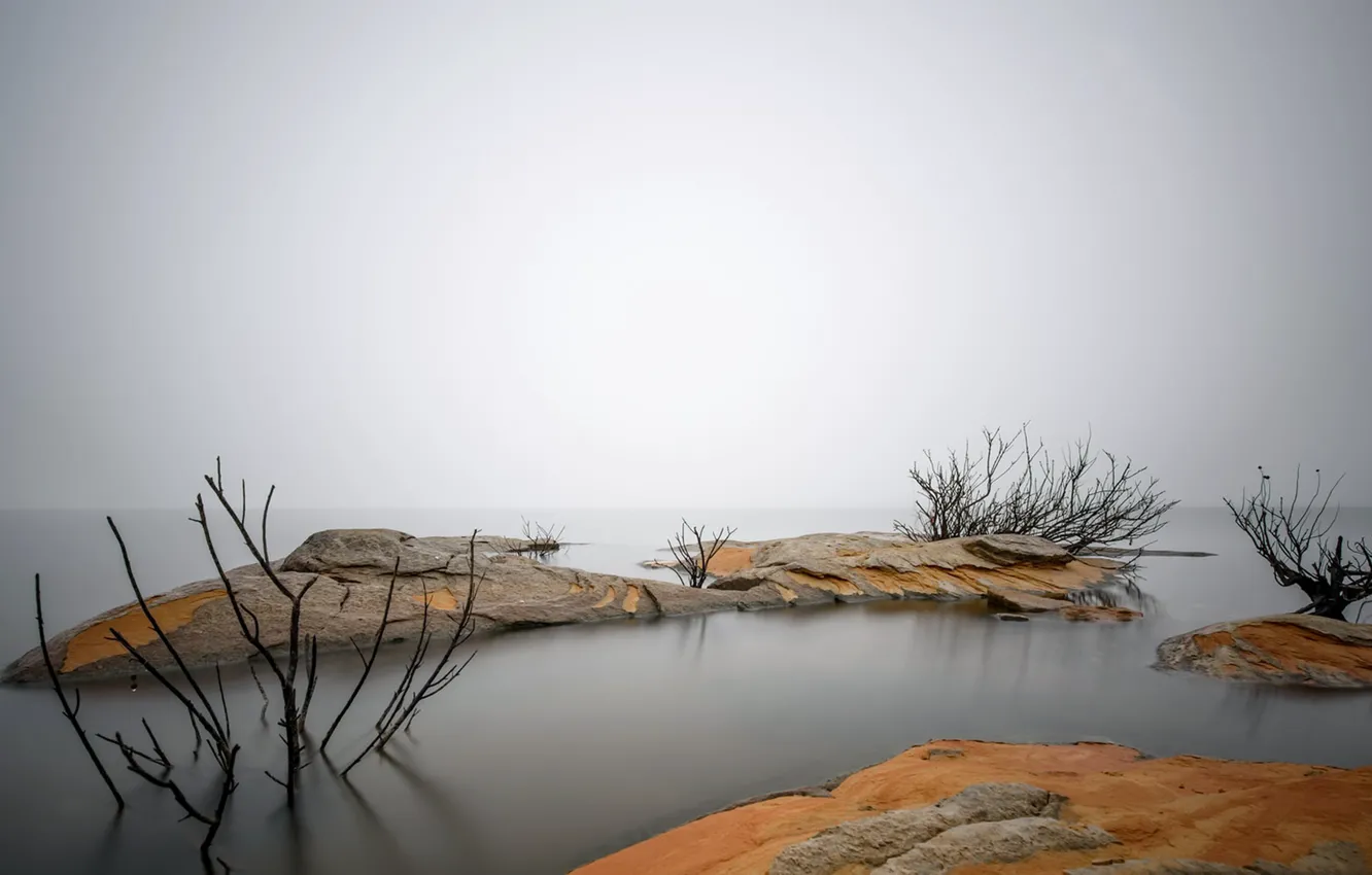 Фото обои море, туман, берег