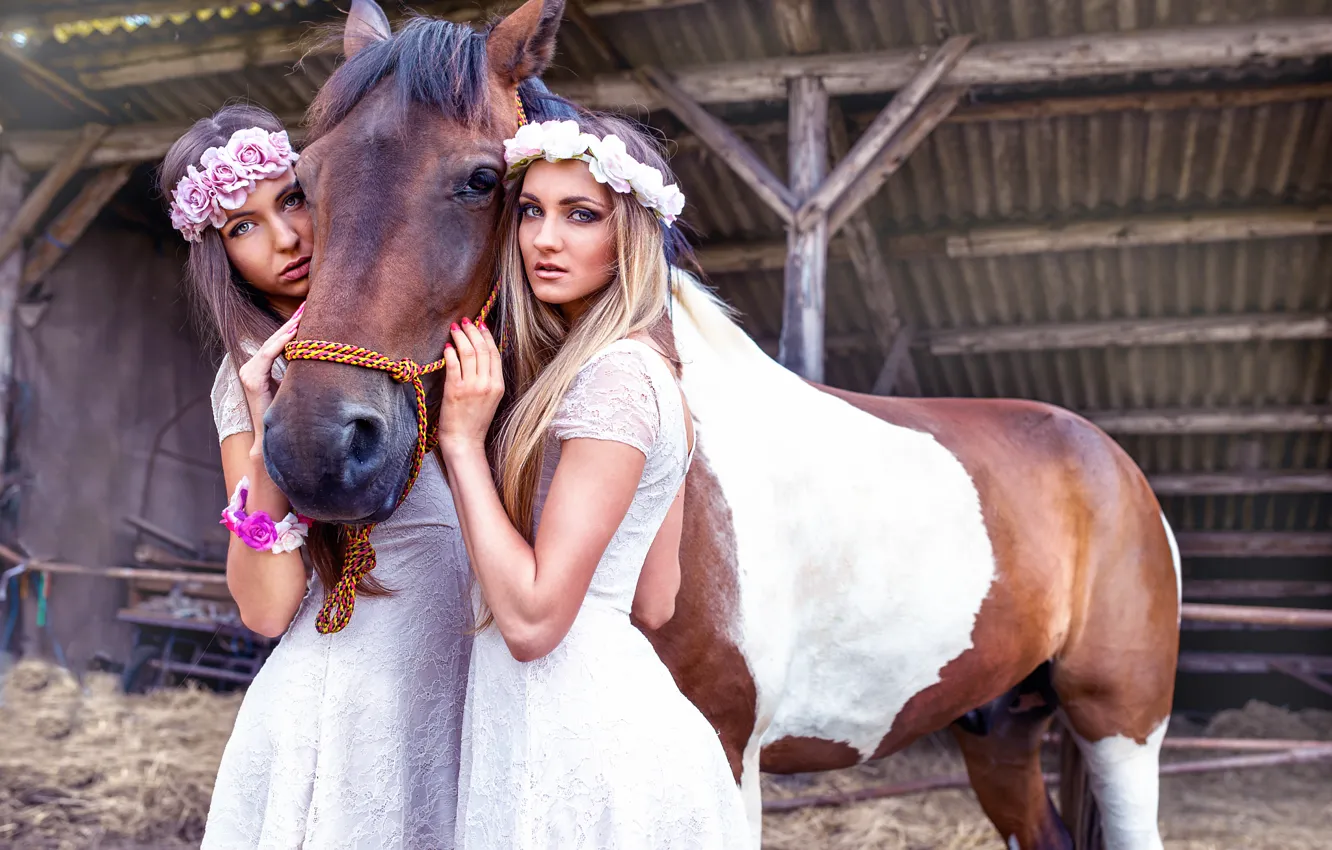 Фото обои конь, две девушки, Vita Vecera, Sisters with horse