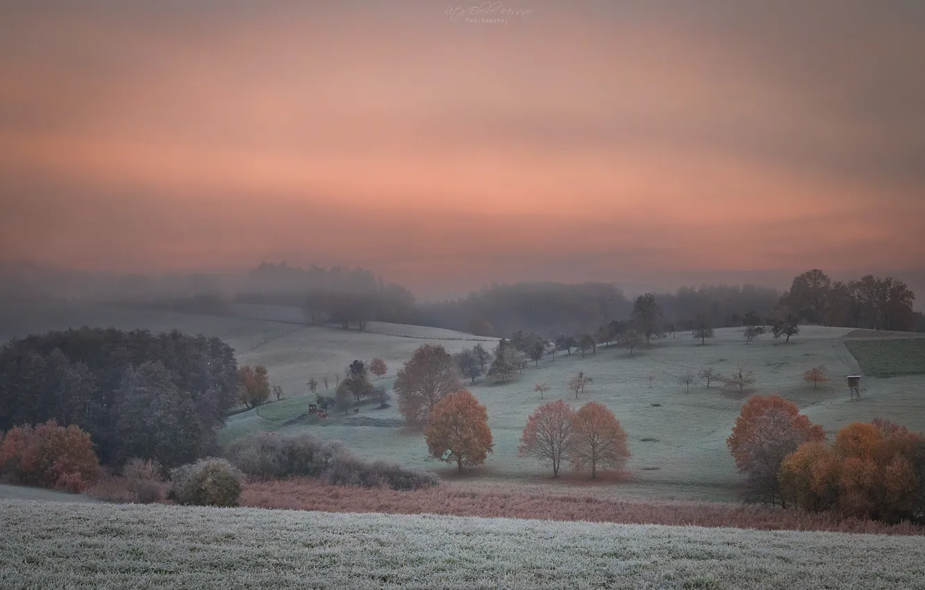 Фото обои небо, деревья, туман, рассвет, поля, утро, леса, изморозь