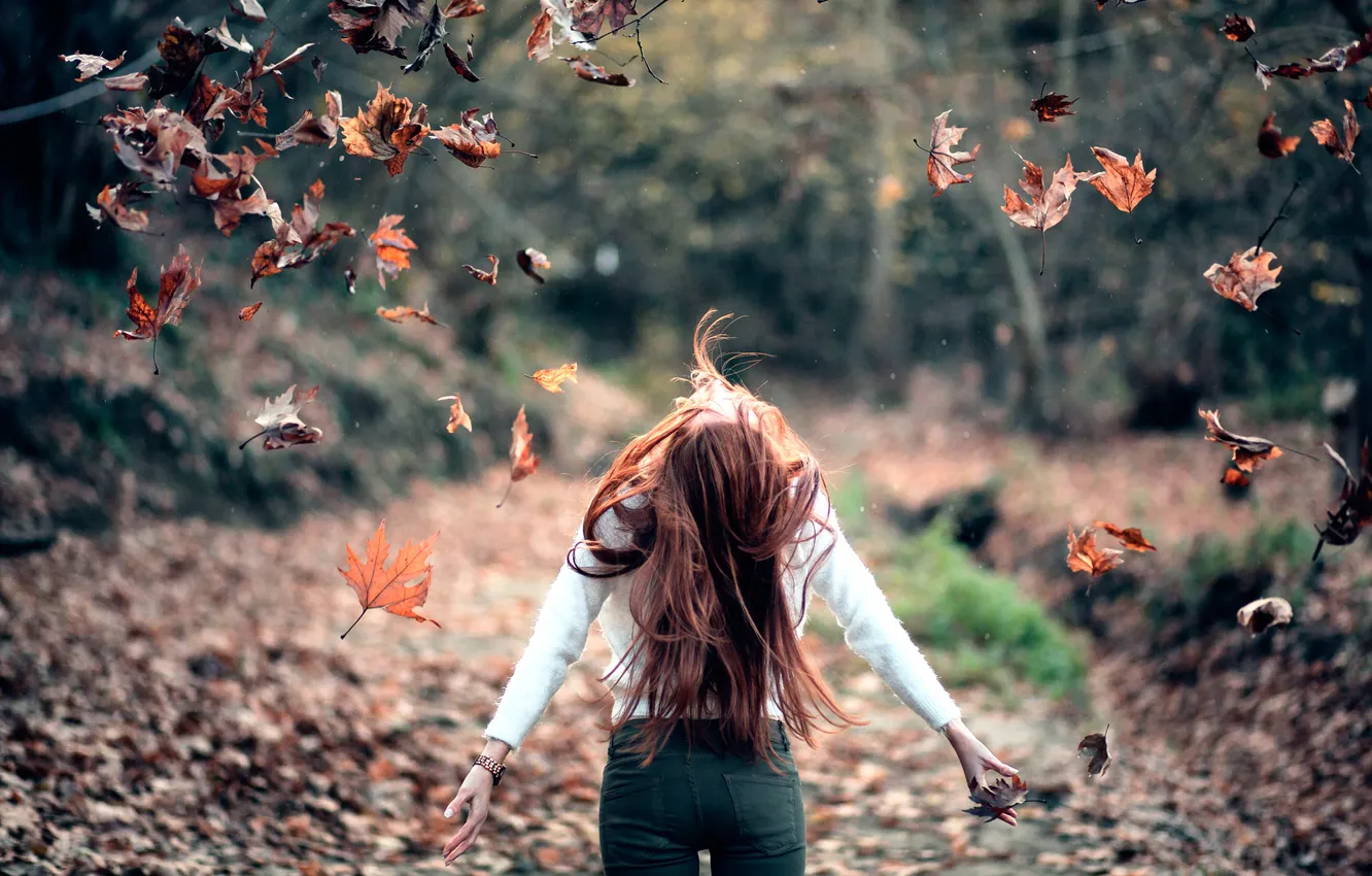 Фото обои осень, листья, девушка, Freedom