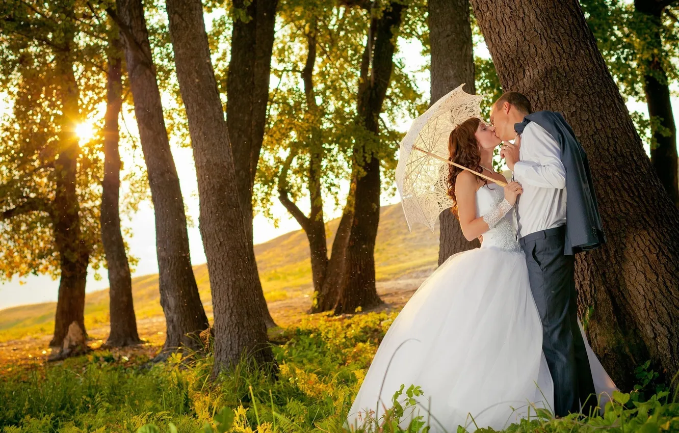 Фото обои зелень, трава, девушка, деревья, любовь, счастье, зонтик, поцелуй