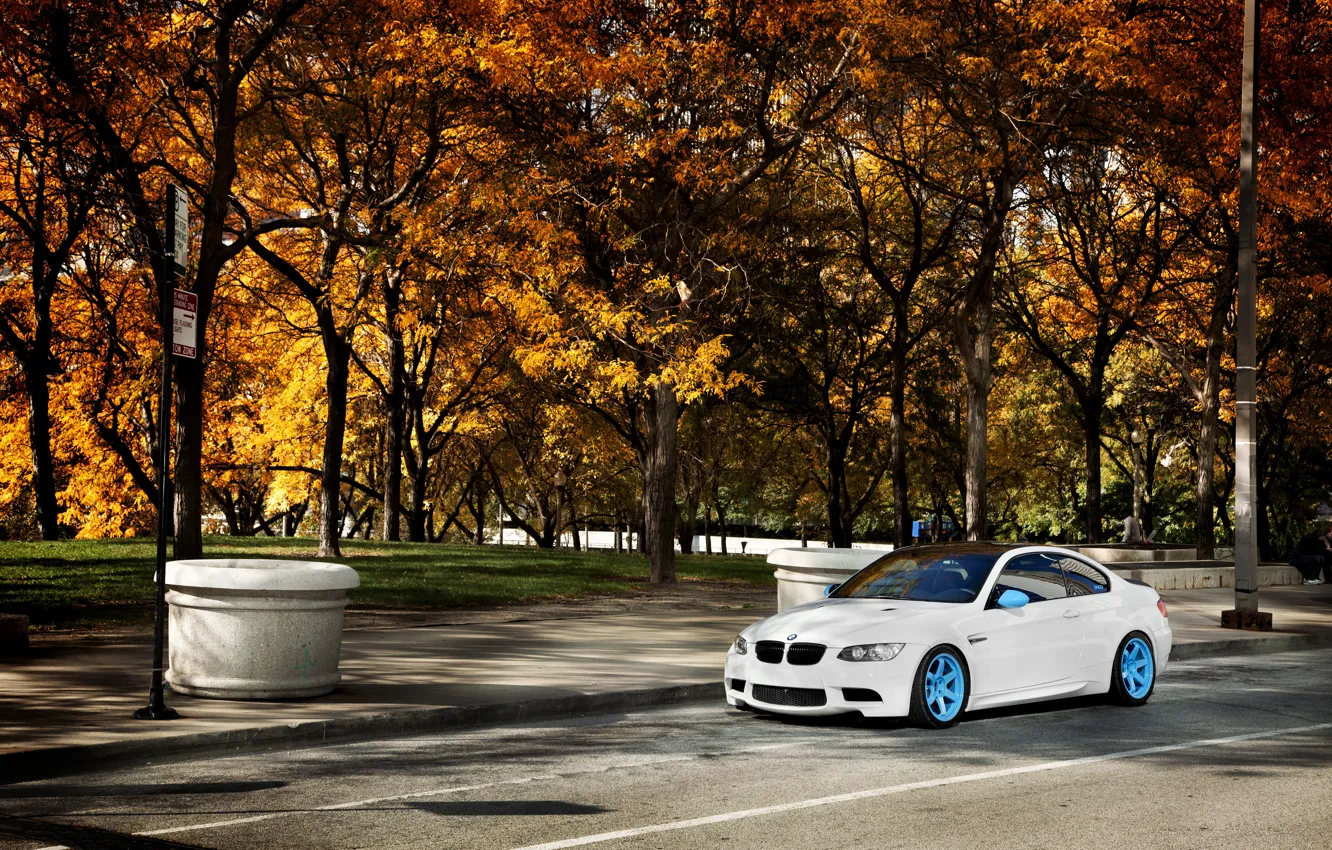 Фото обои осень, белый, деревья, бмв, BMW, white, E92, IND
