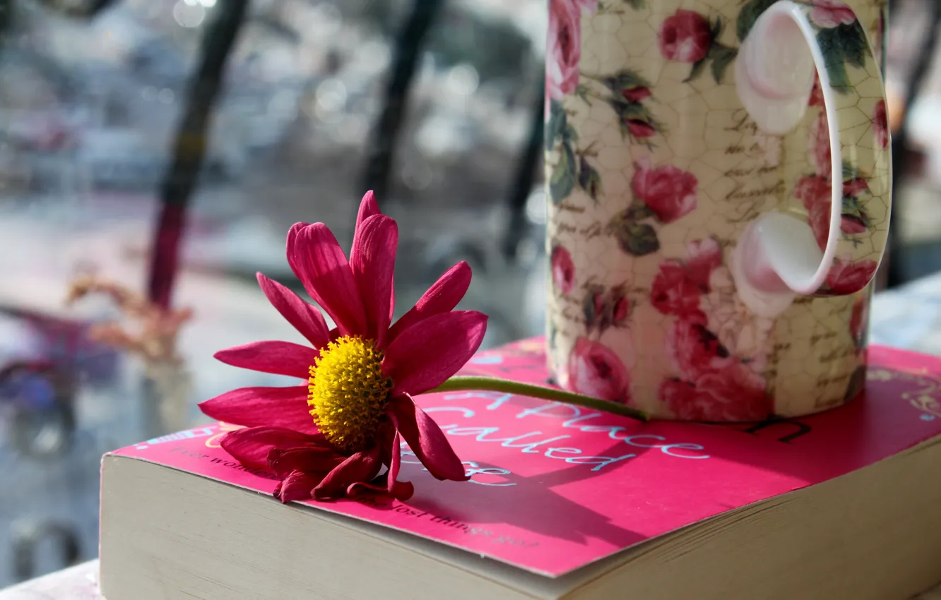 Фото обои цветок, лепестки, кружка, чашка, книга, розовые