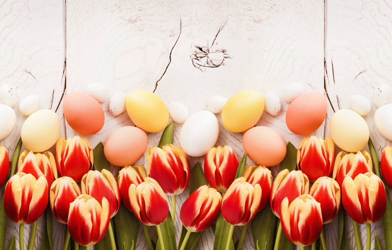 Фото обои Пасха, тюльпаны, wood, tulips, spring, Easter, eggs, decoration