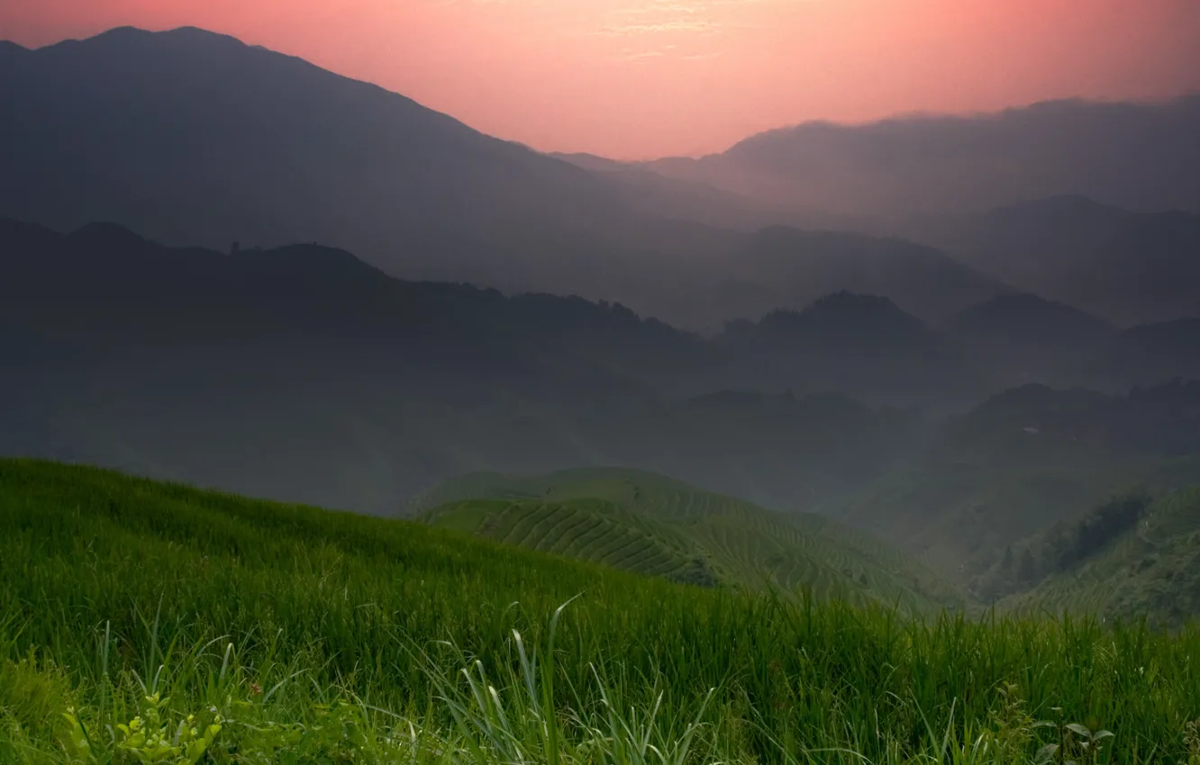 Фото обои grass, mountains, chromium