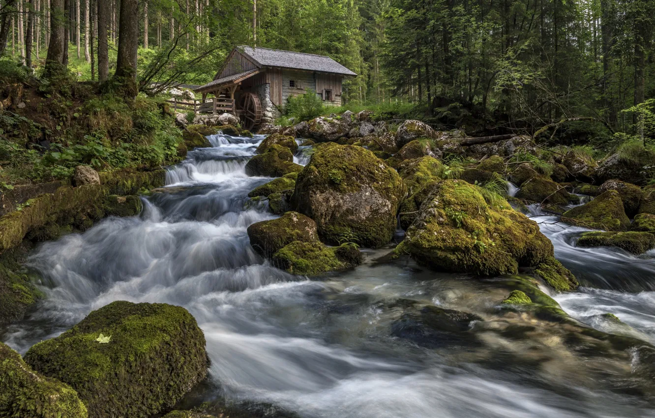 Фото обои лес, река, камни, поток, домик