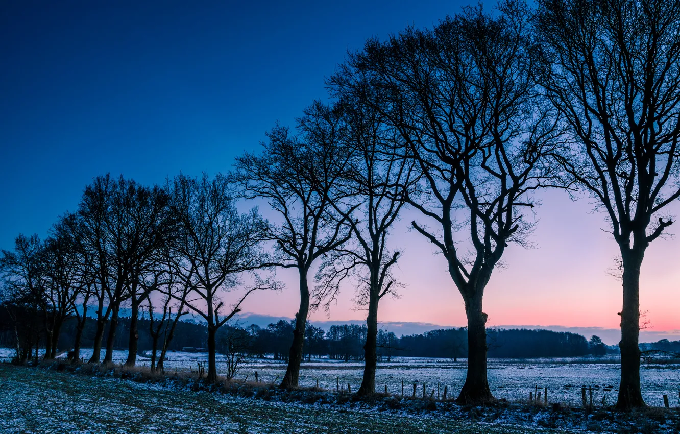 Фото обои зима, иней, поле, деревья, рассвет, поляна, утро, Норвегия