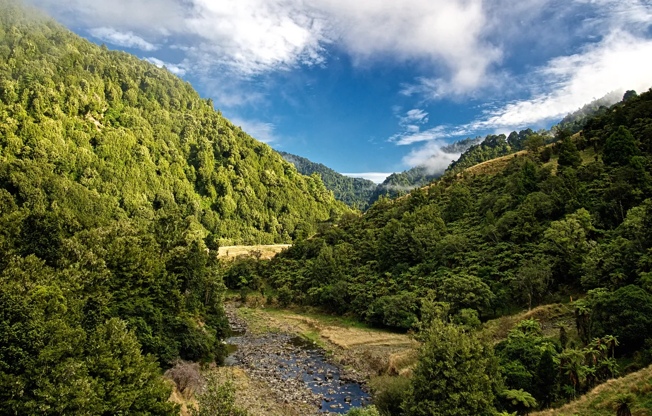 Фото обои лес, небо, облака, деревья, горы, ручей, камни, Новая Зеландия