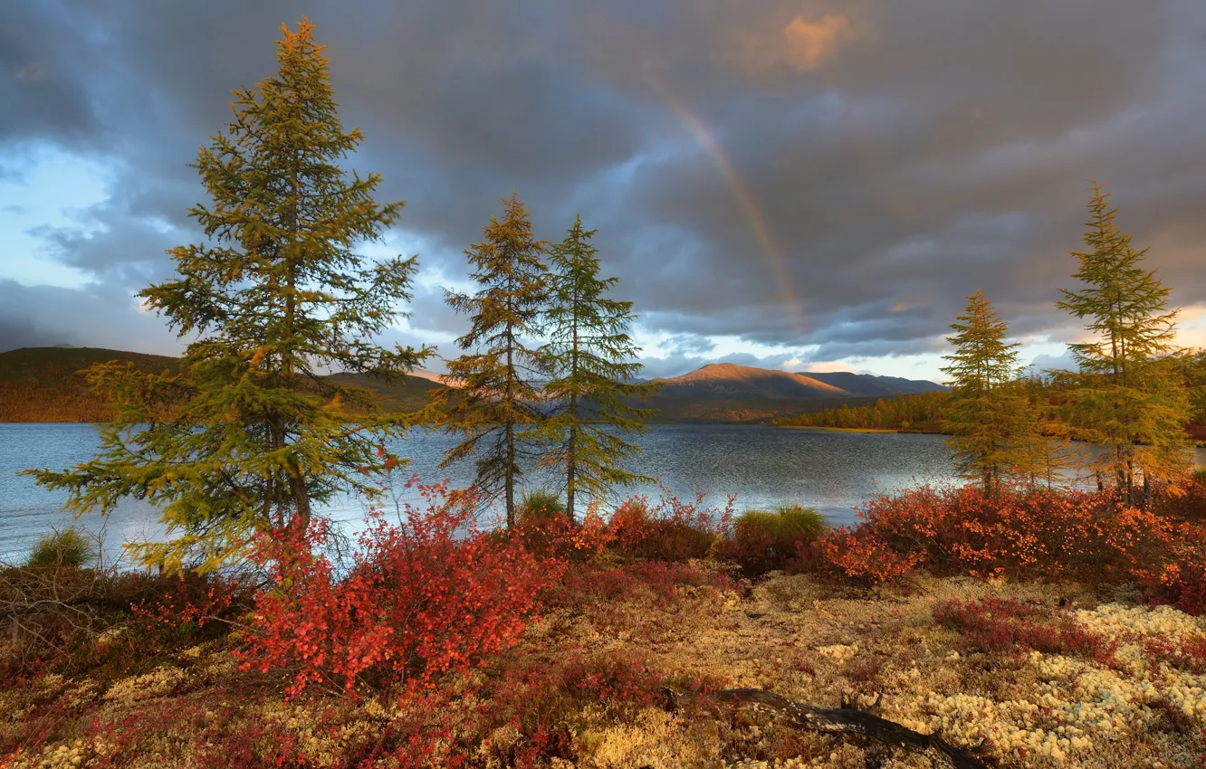Фото обои осень, деревья, горы, озеро, радуга, Россия, Магаданская область, Озеро Джека Лондона
