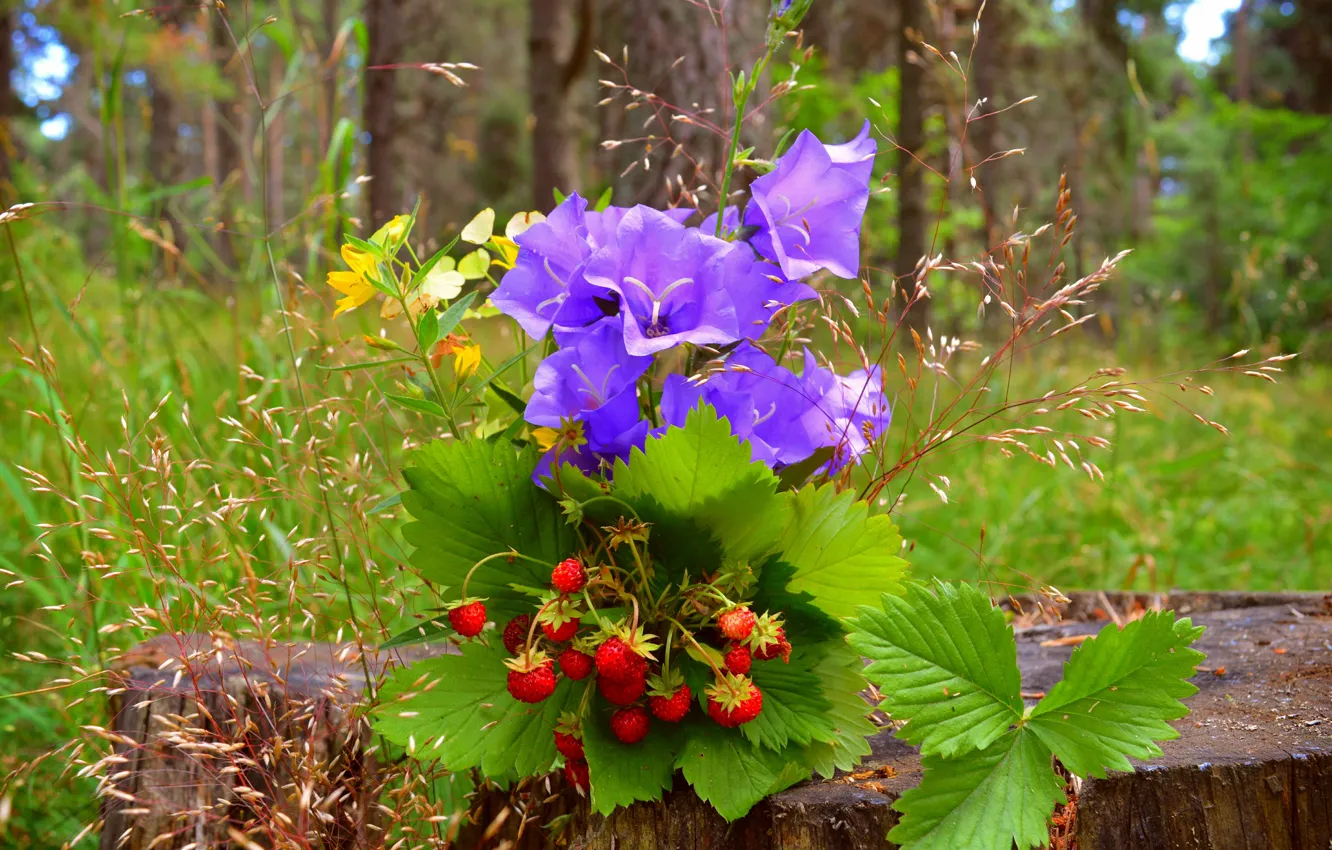 Фото обои Цветы, земляника, Ягоды, колокольчики, Flowers
