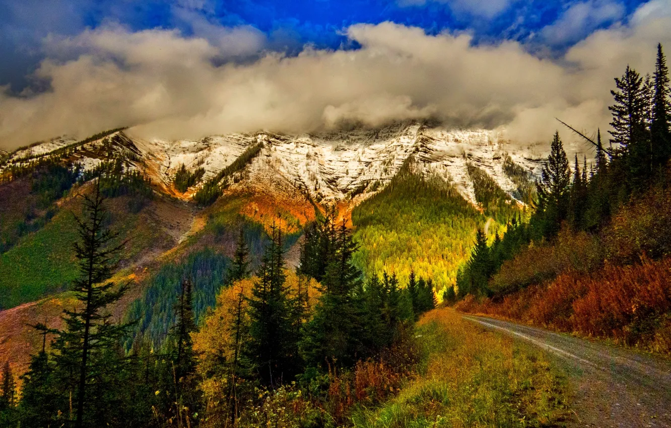 Фото обои дорога, осень, лес, небо, листья, облака, снег, деревья