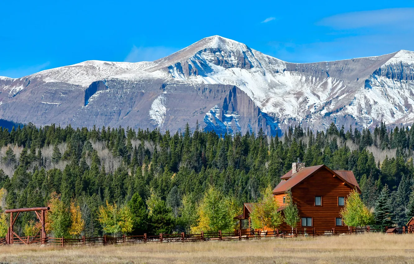 Фото обои поле, осень, лес, небо, трава, солнце, облака, деревья