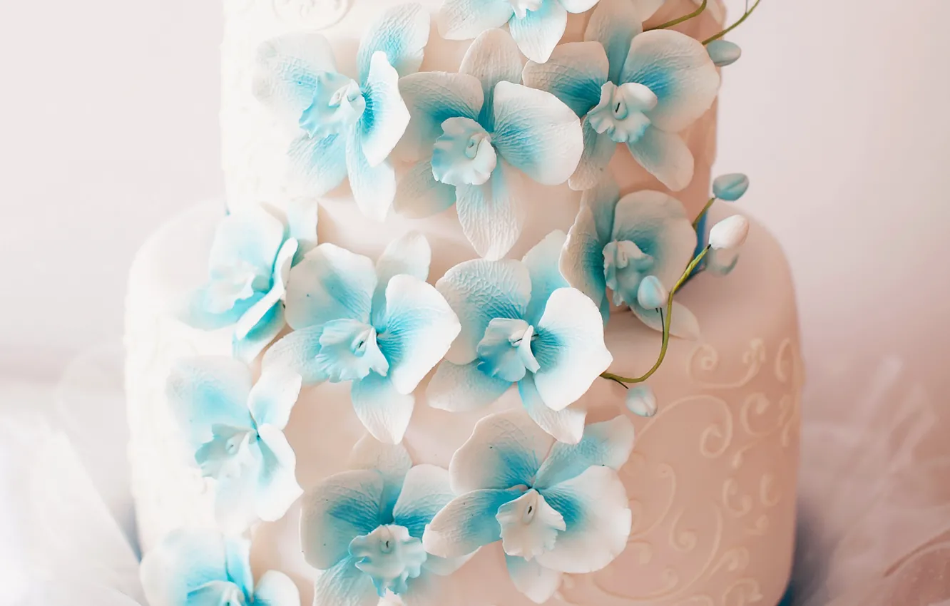 Фото обои цветы, торт, украшение, свадьба, сладкое, Orchid, wedding, Cakes