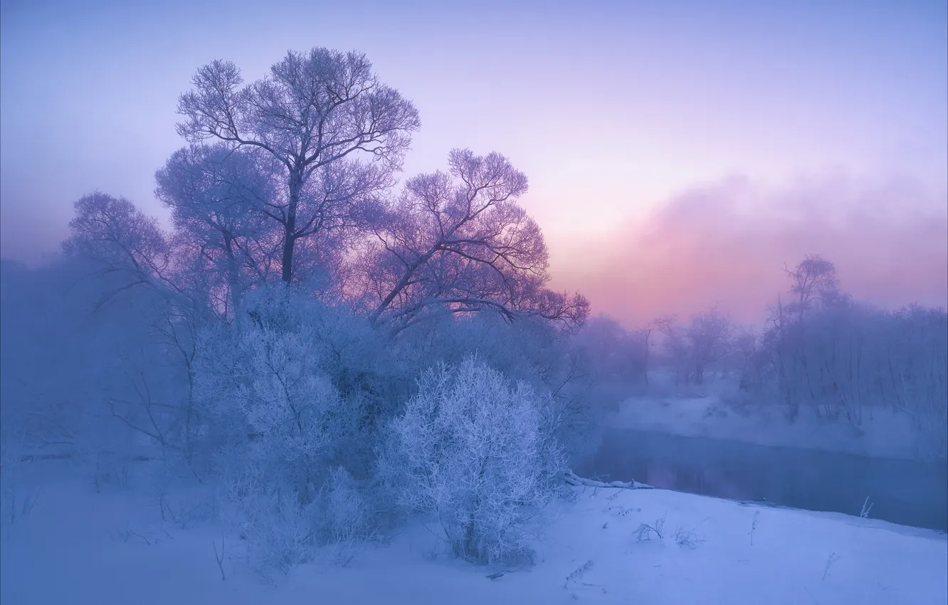 Фото обои зима, снег, деревья, река, рассвет, утро, Россия, изморозь