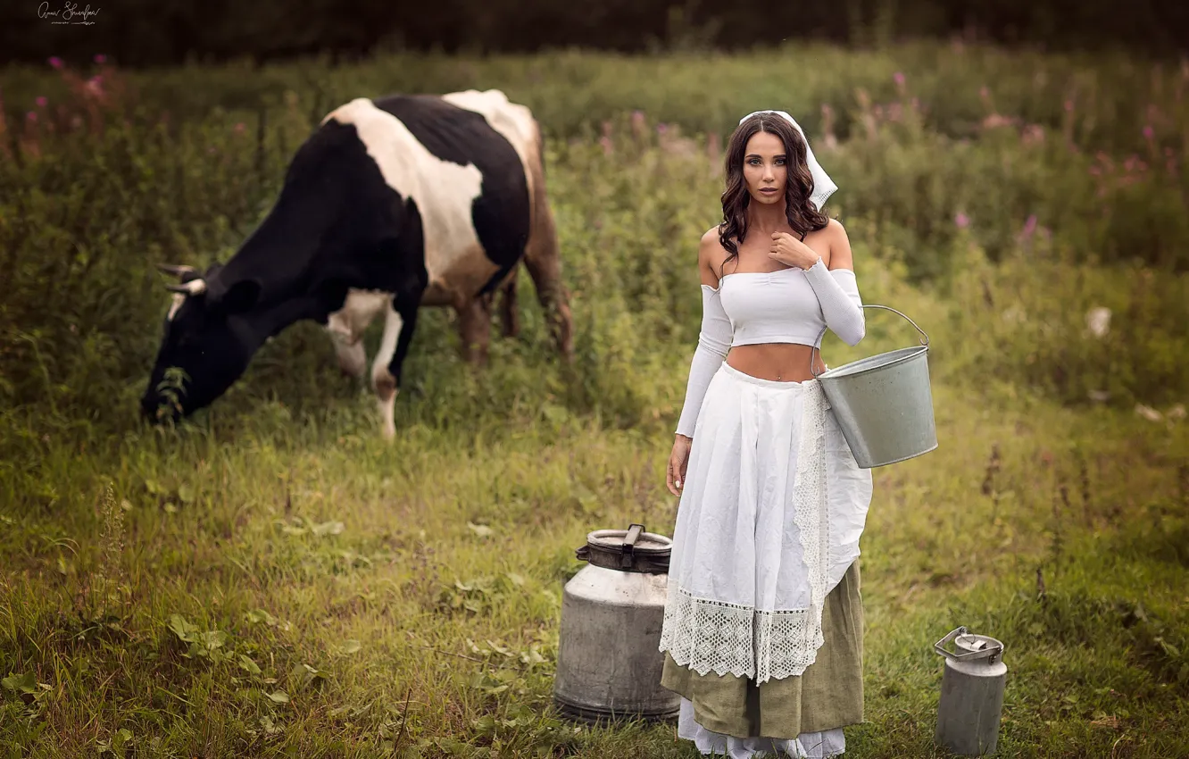 Фото обои девушка, корова, луг, ведро, бидоны, доярка, Анна Шувалова