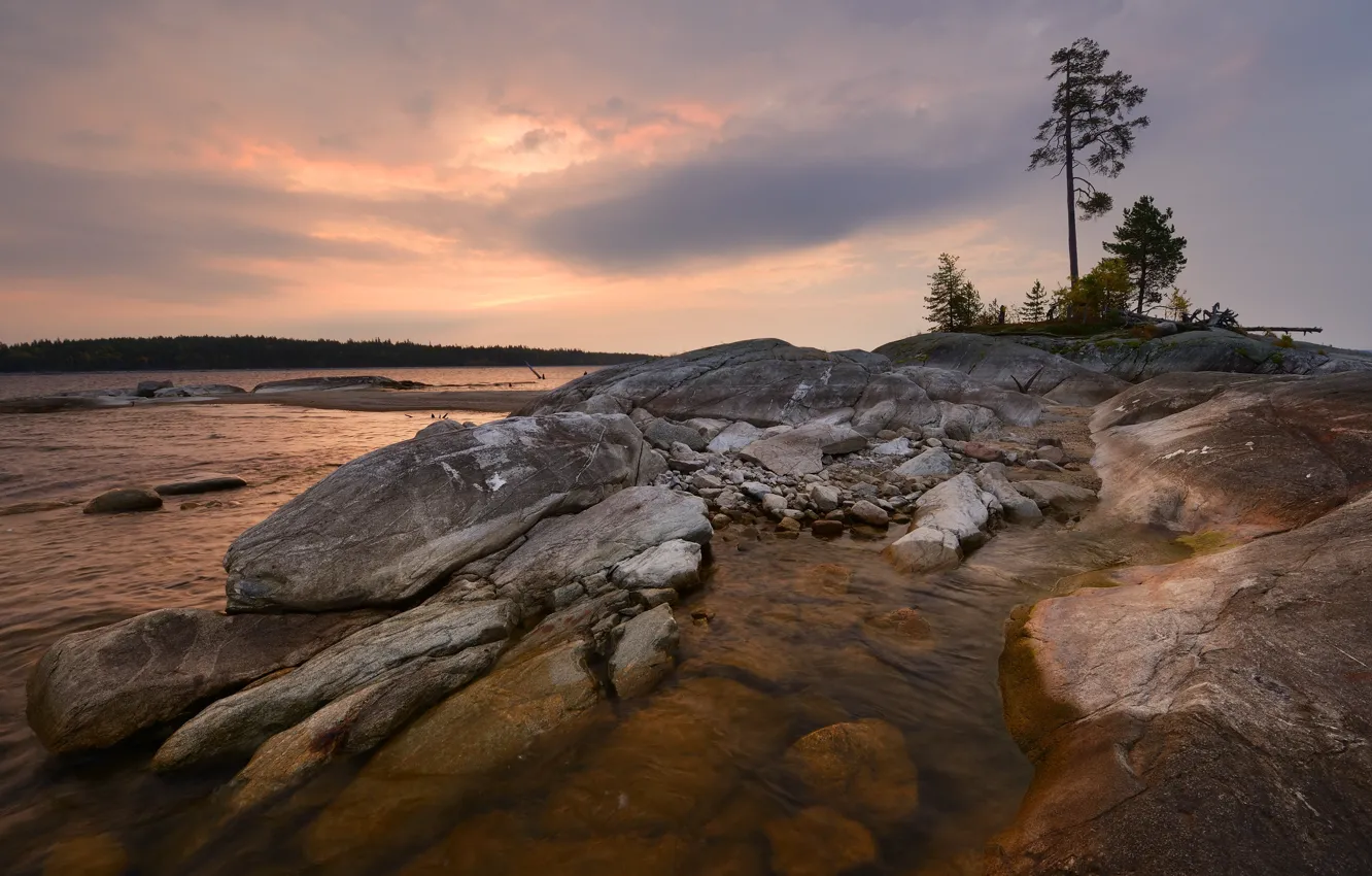 Фото обои Вода, Лес, Камень, Небосвод, Наплыв, Линия Берега, Пласты