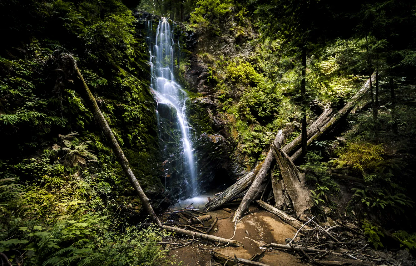 Фото обои лес, деревья, камни, скалы, водопад, поток, California, Berry Creek Falls