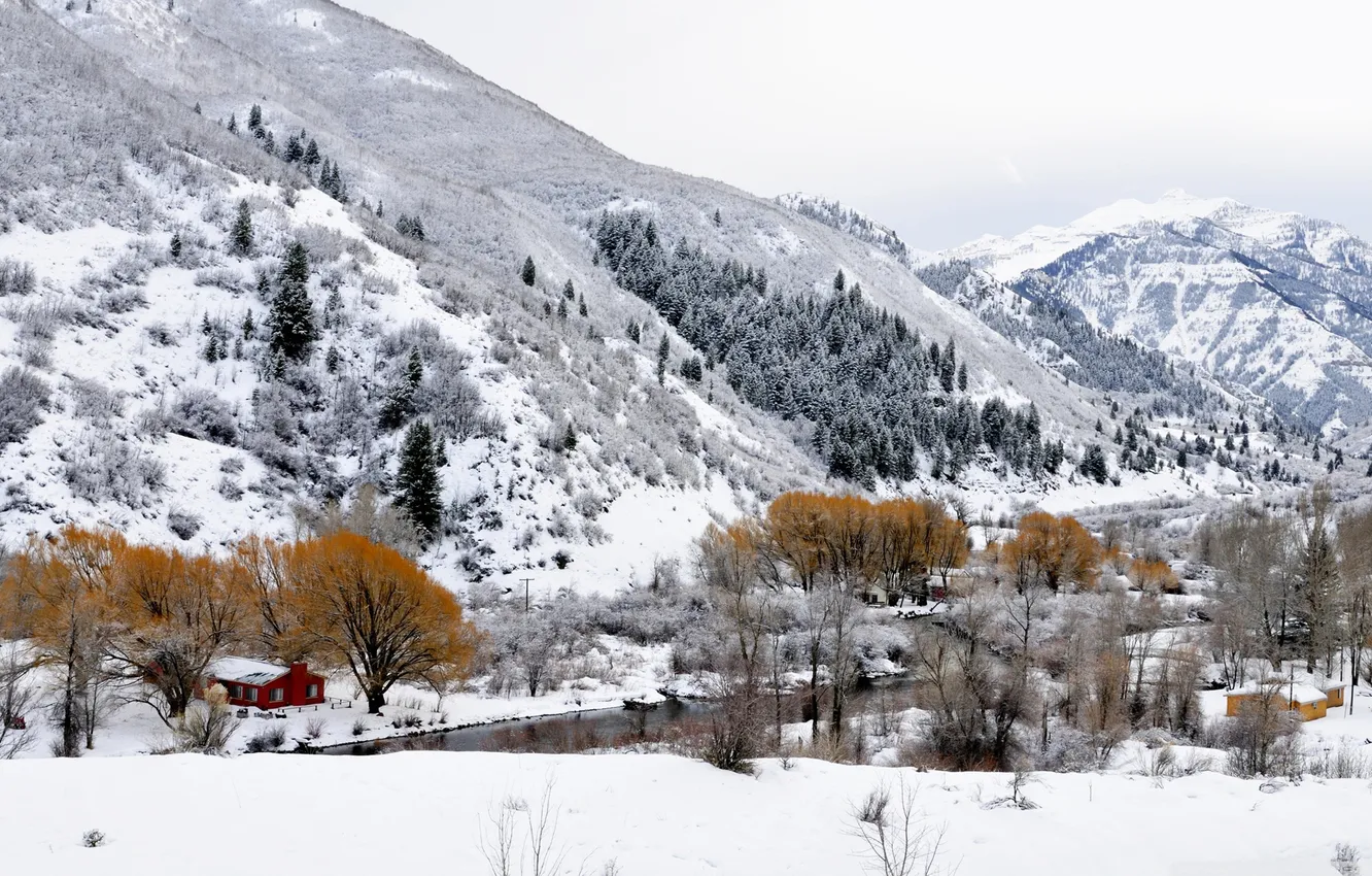 Фото обои зима, небо, листья, снег, деревья, природа, дом, река