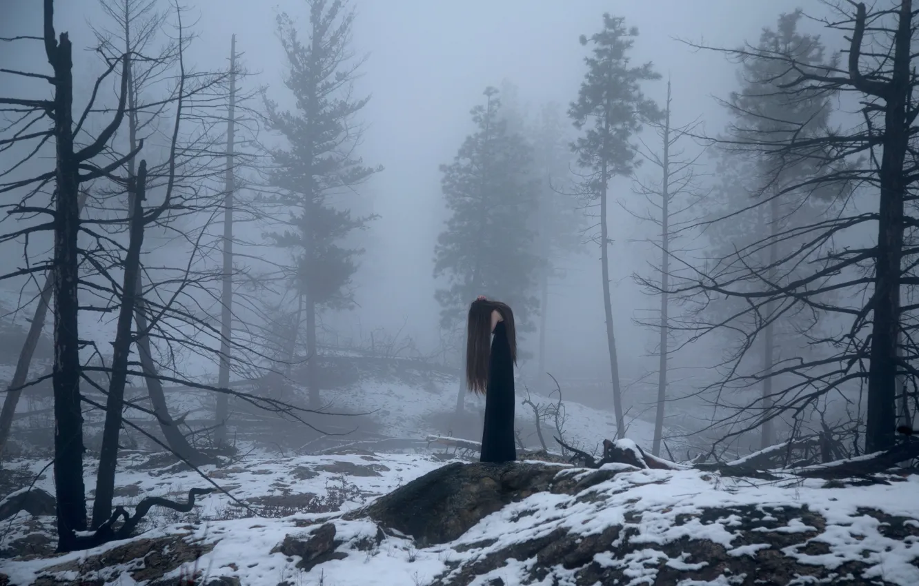 Фото обои лес, девушка, снег, туман, Lichon