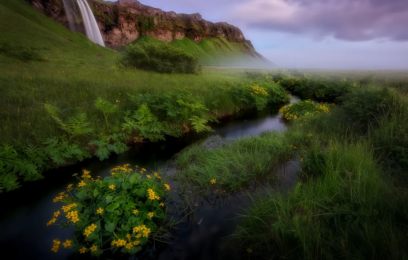 Фото обои зелень, трава, цветы, горы, природа, река, ручей, водопад