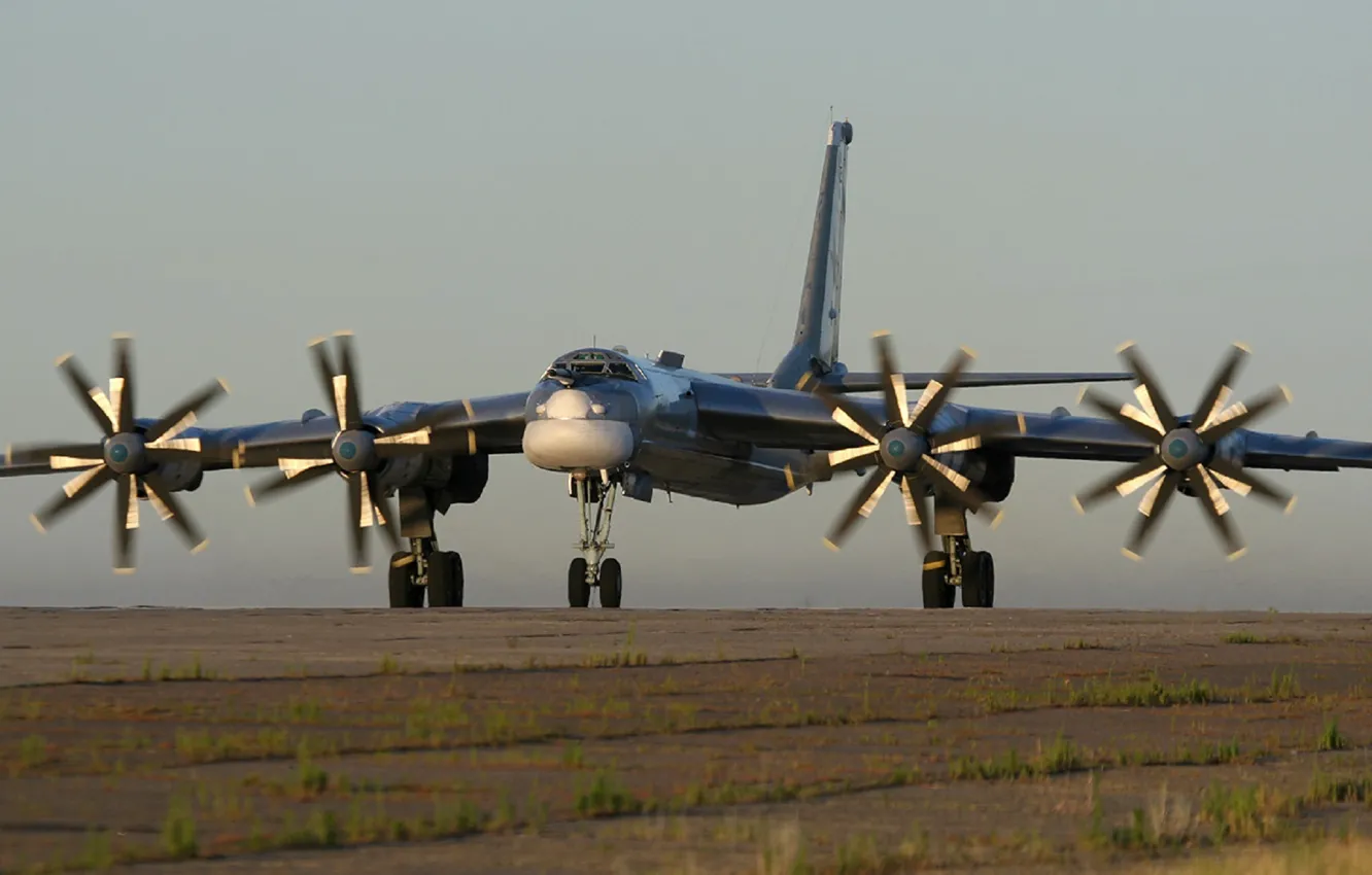 Фото обои медведь, бомбардировщик, bear, Tupolev, ту-95мс, Tu-95MS