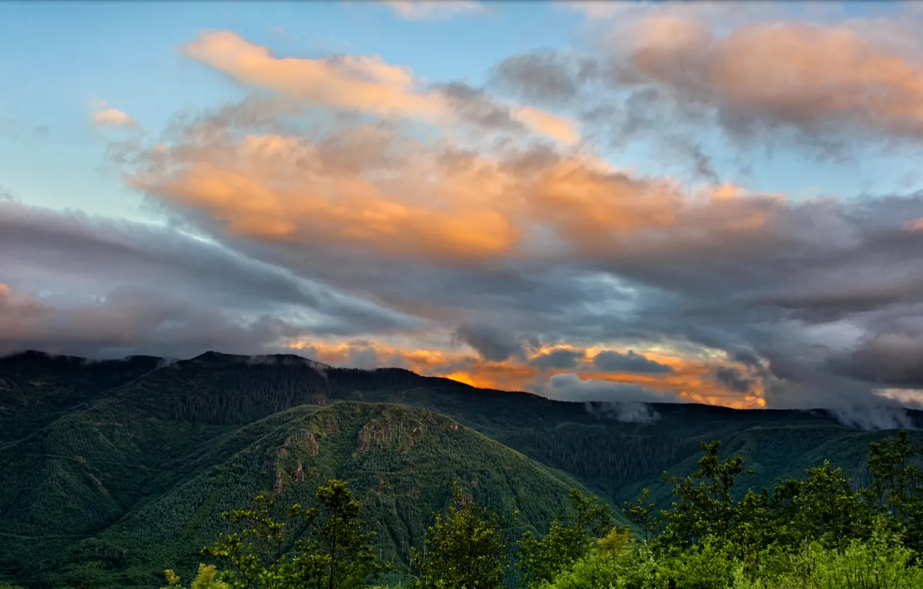 Фото обои лес, облака, закат, горы, США, Washington, Mount St. Helens