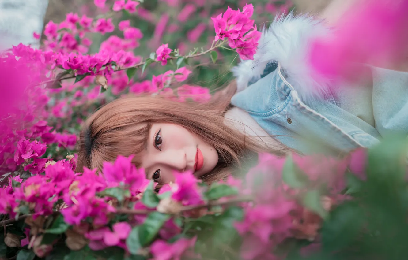 Фото обои девушка, цветы, лицо, лежит