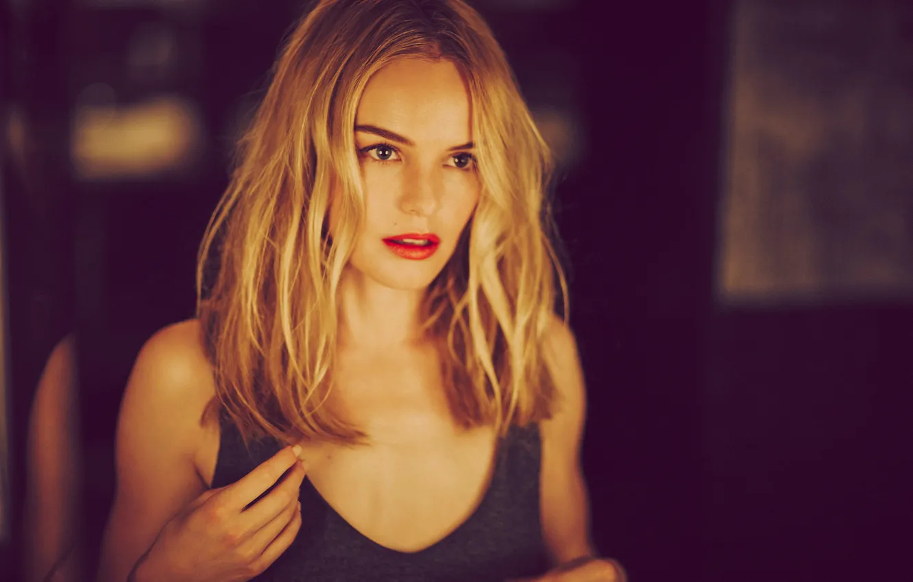 Фото обои девушка, актриса, блондинка, фотосессия, 2015, Kate Bosworth, Кейт Босуорт
