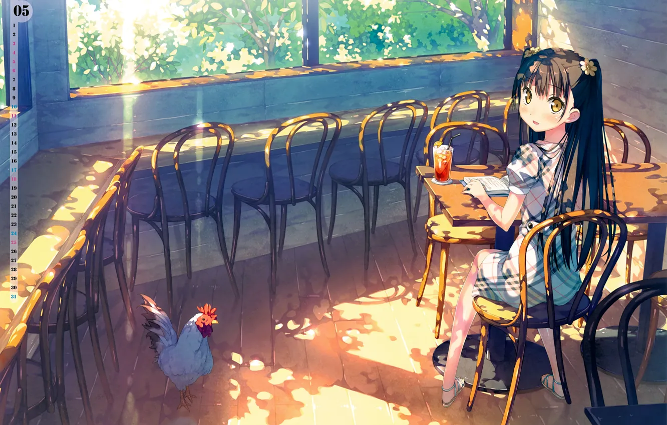 Фото обои солнце, стол, окна, стулья, курица, май, девочка, веранда