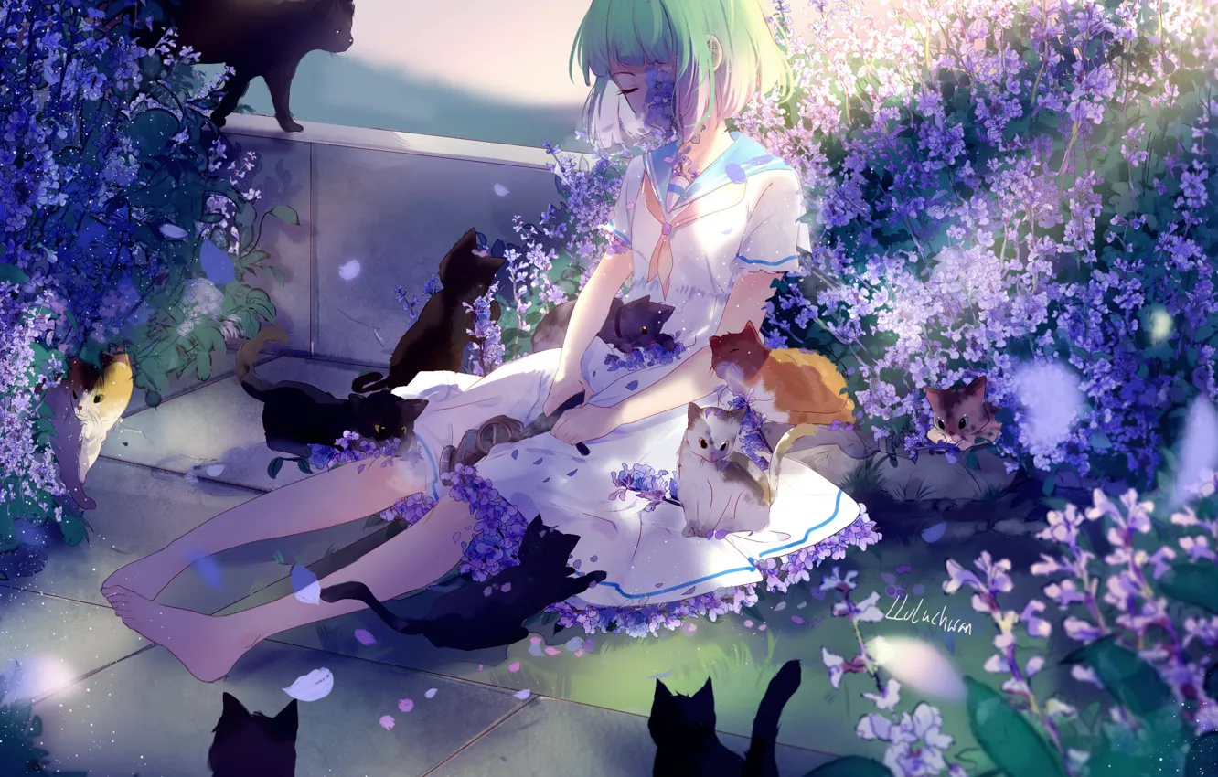 Фото обои грусть, кошки, девочка, котята, зеленые волосы, сиреневые цветочки, босая, матроска