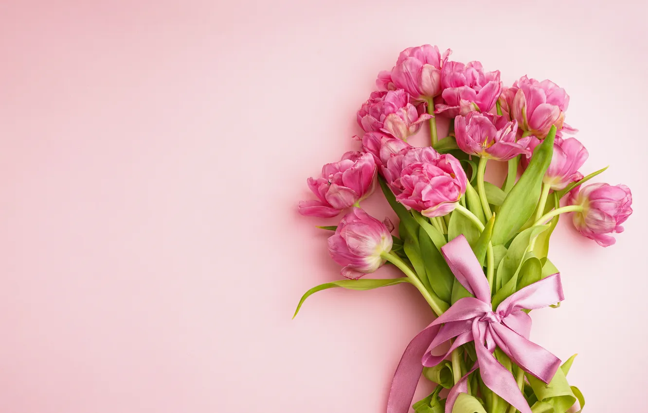 Фото обои цветы, букет, тюльпаны, розовые, pink, flowers, beautiful, tulips
