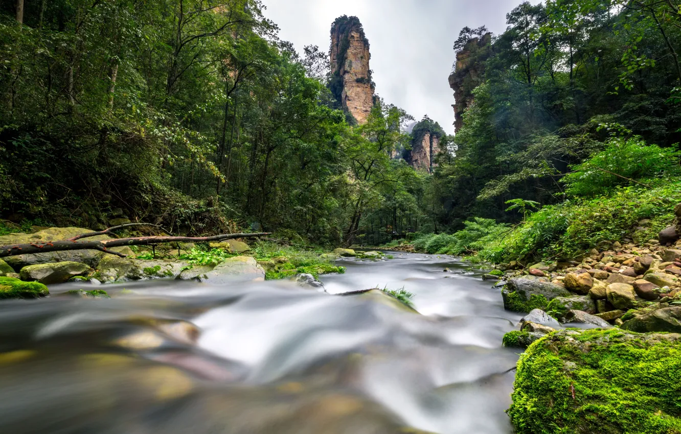 Фото обои China, Китай, Чжанцзяцзе, Forest River, Zhangjiajie, Лесная река