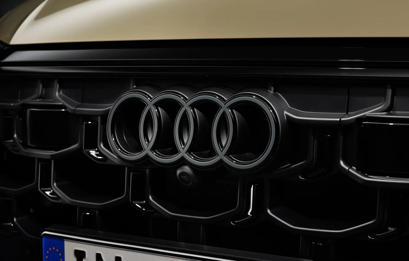 Фото обои Audi, logo, Q8, Audi Q8 2024