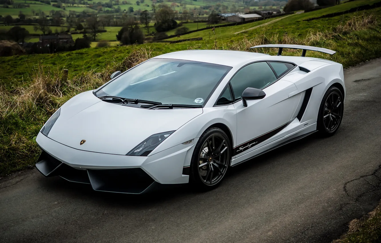 Фото обои дорога, белый, трава, white, lamborghini, вид сверху, ламборгини, lp570-4