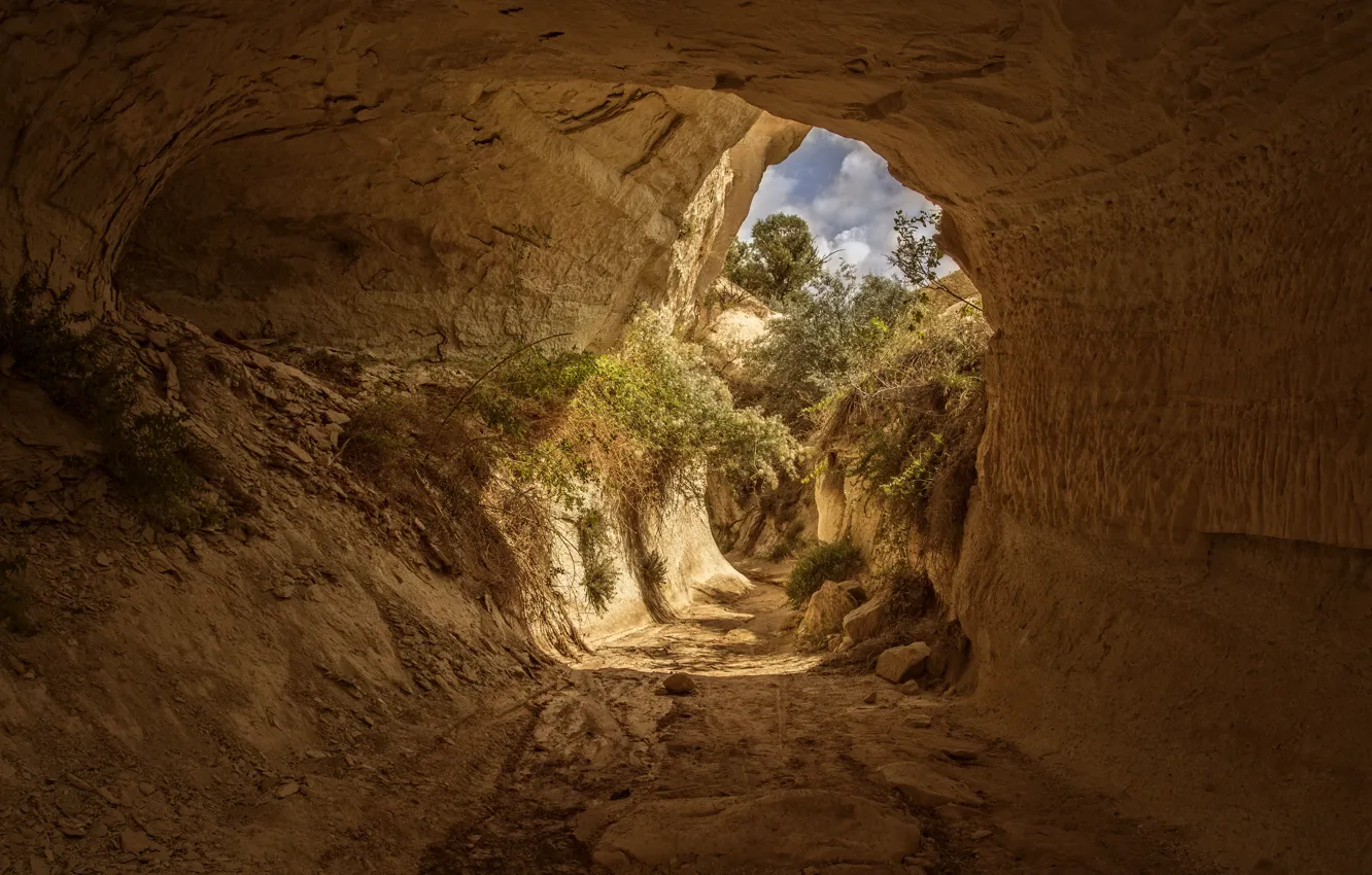 Фото обои nature, yellow, Turkey, Cappadocia, cave, Kide fotoart