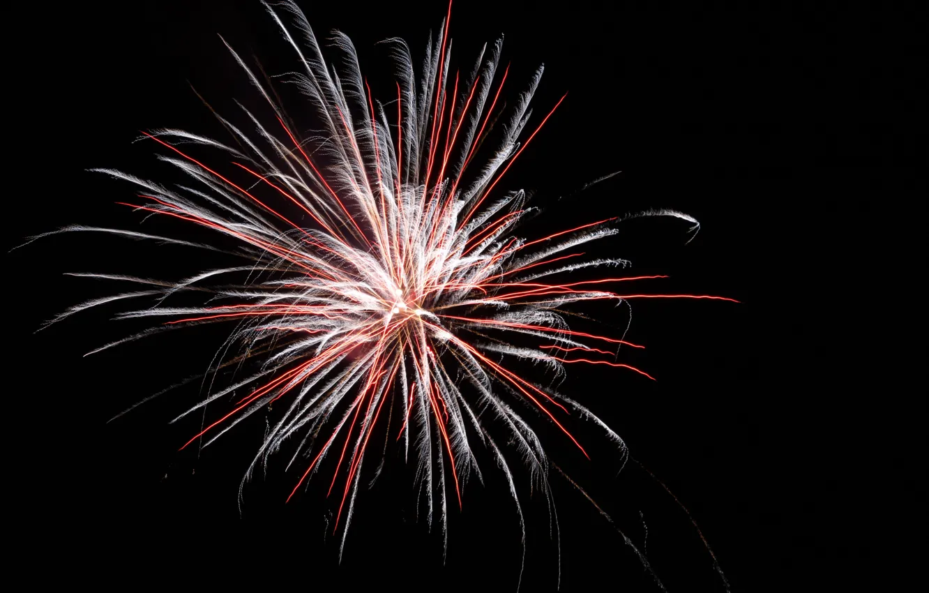 Фото обои night, fireworks, celebration