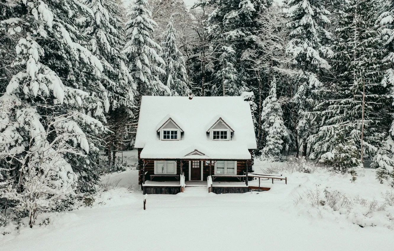 Фото обои зима, лес, снег, деревья, природа, дом
