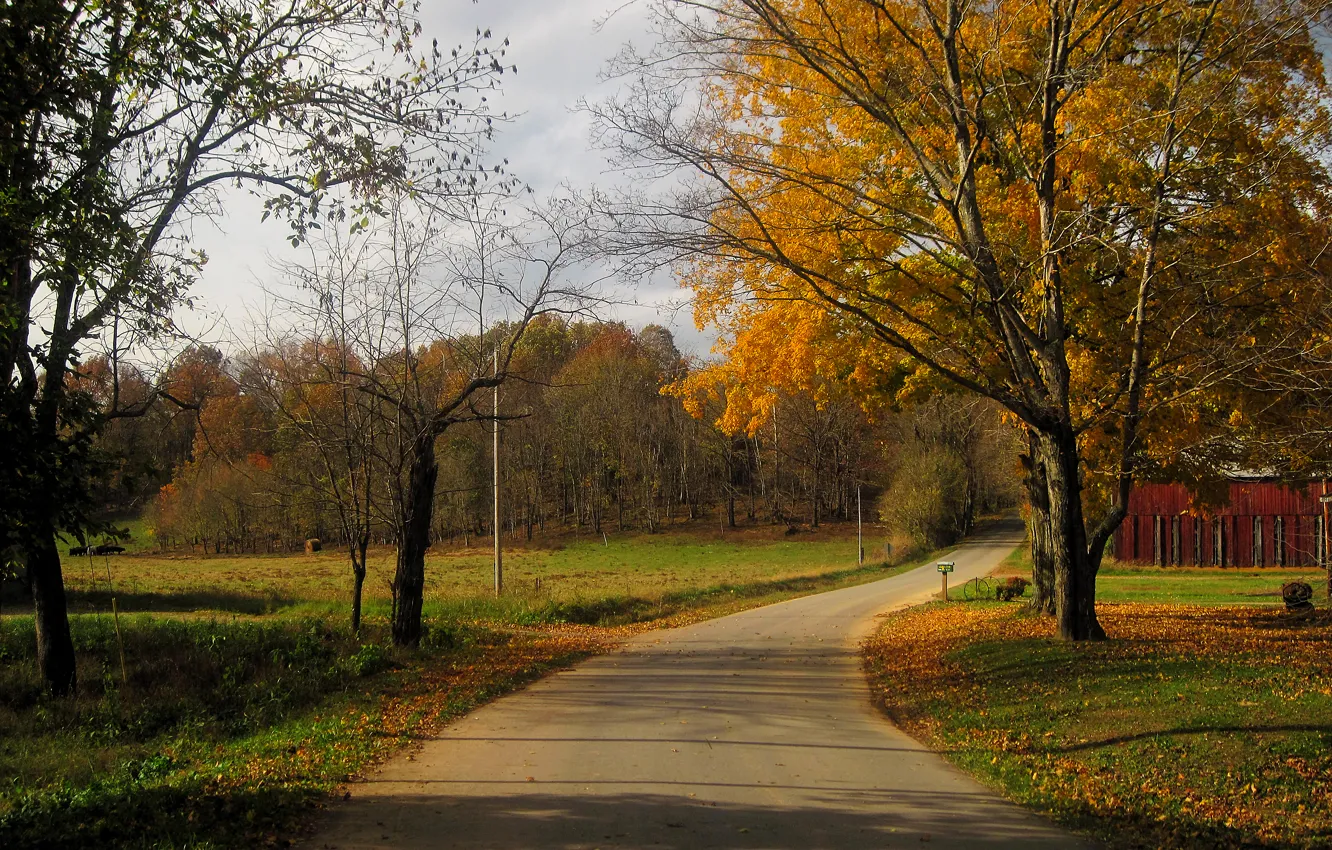 Фото обои дорога, осень, деревья, листва, США, road, trees, Кентукки