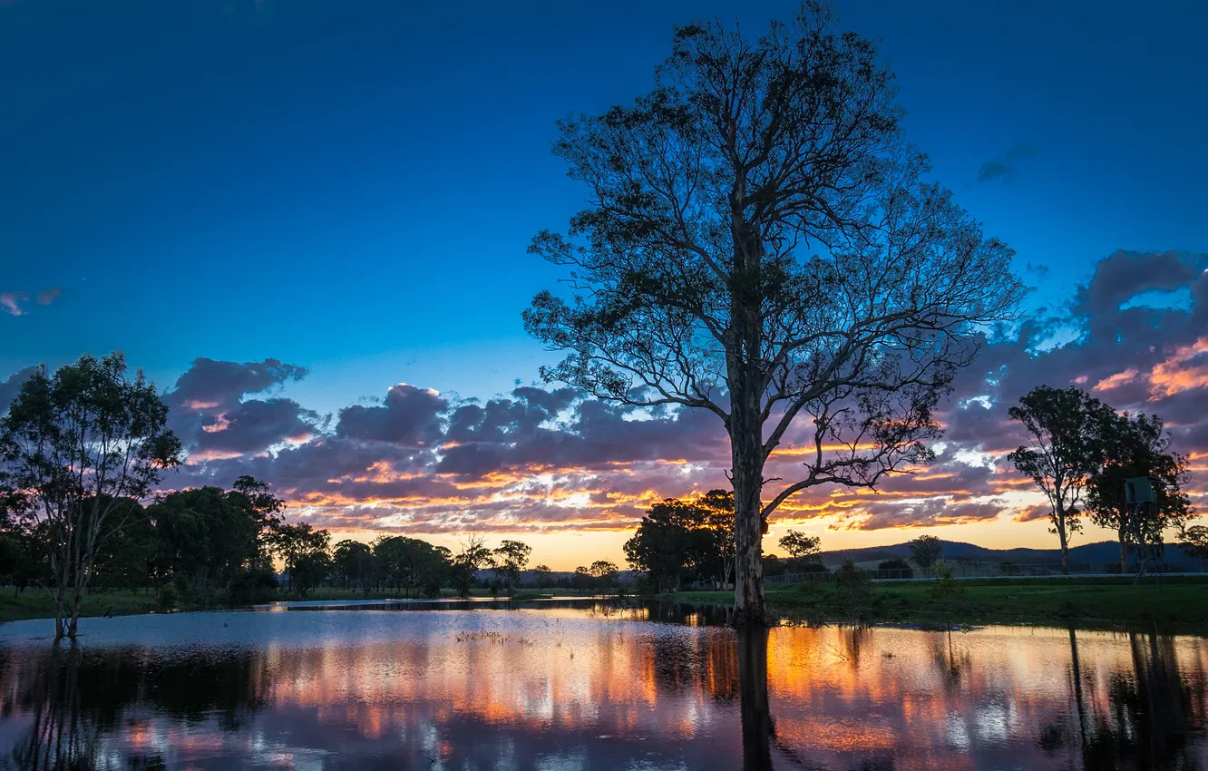 Фото обои деревья, закат, река, Австралия, Australia