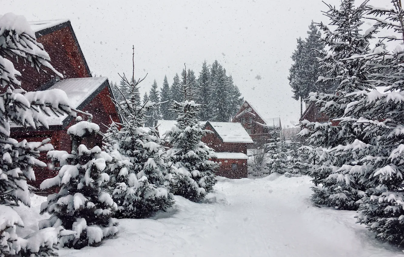 Фото обои Природа, Дома, Снег, Nature, Snow, Snow trees, Winter beauty, Houses