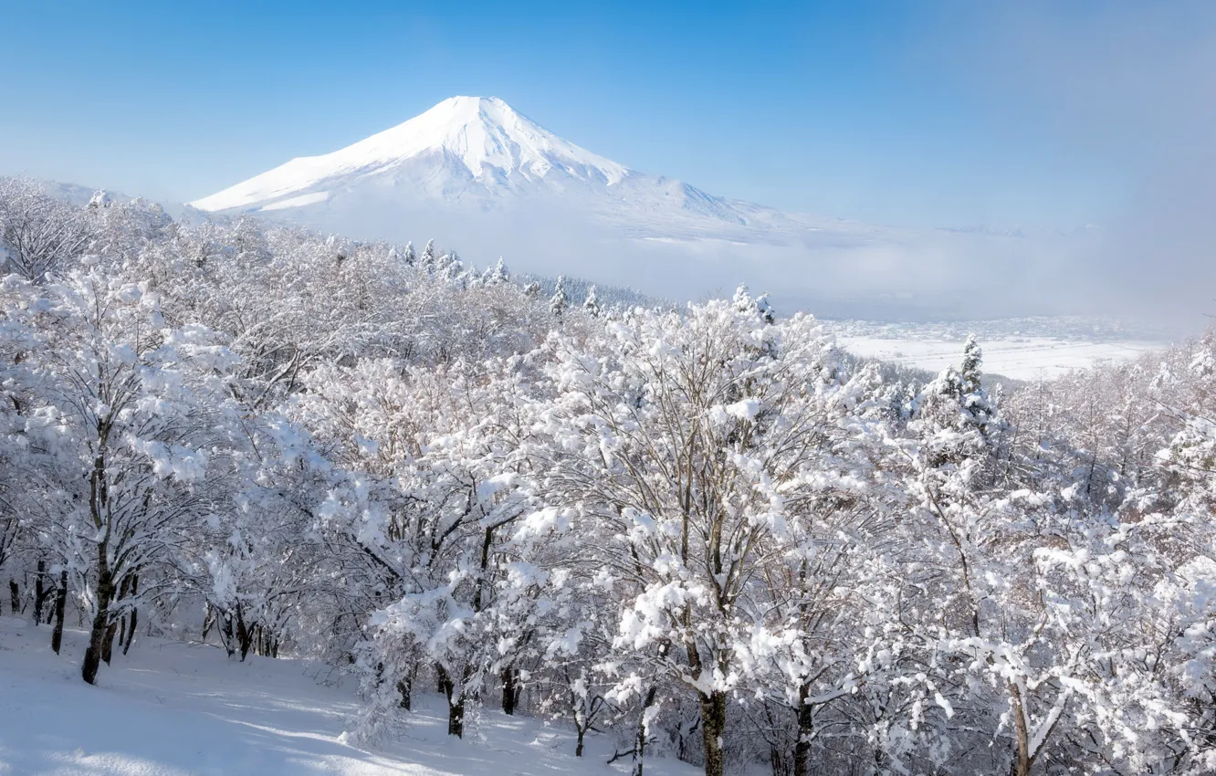 Фото обои зима, лес, небо, снег, деревья, туман, гора, вулкан
