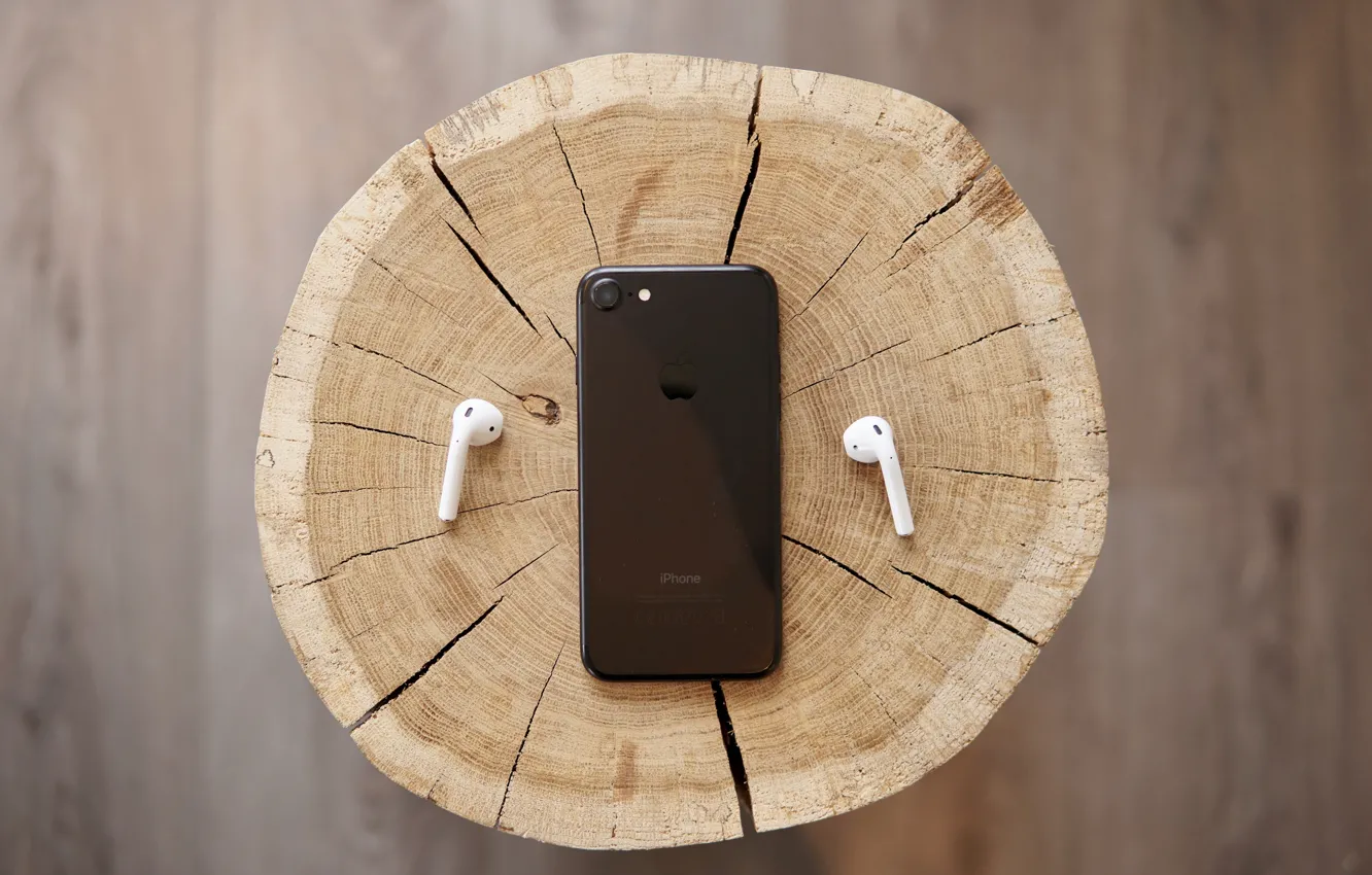 Фото обои макро, дерево, черный, iPhone, пень, наушники, древесина, срез