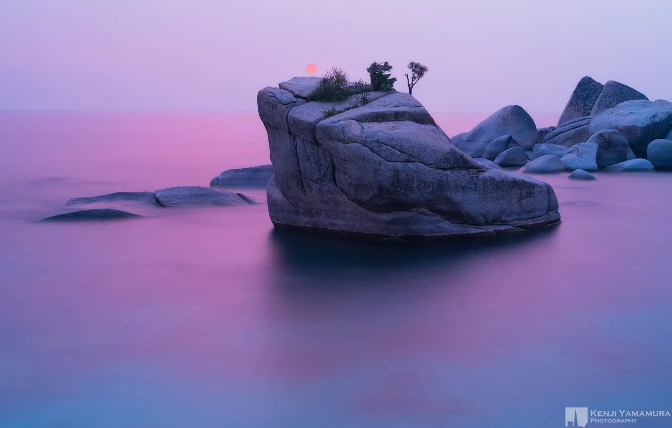 Фото обои закат, скала, дерево, photographer, Bonsai Rock, Kenji Yamamura